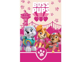 Dětská deka Paw Patrol Boss Pups